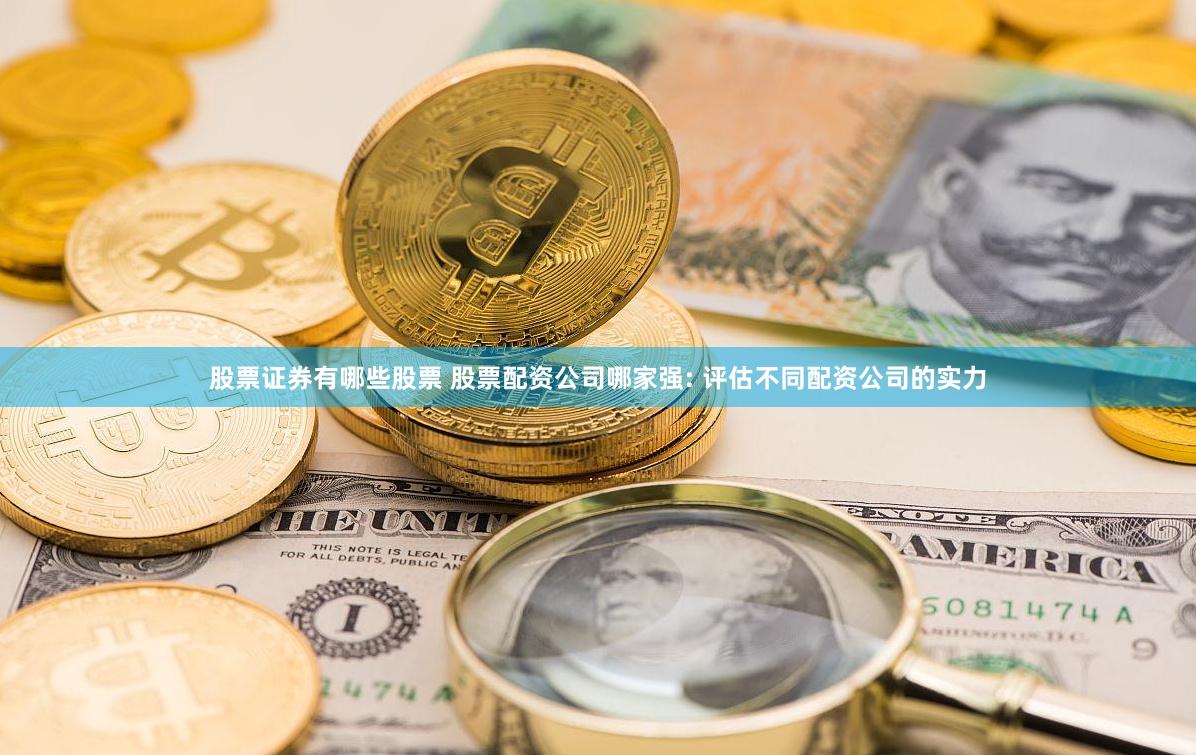股票证券有哪些股票 股票配资公司哪家强: 评估不同配资公司的实力
