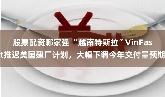 股票配资哪家强 “越南特斯拉”VinFast推迟美国建厂计划，大幅下调今年交付量预期